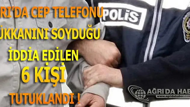 Ağrı'da İş Yerinden Hırsızlık İddiası Gözaltına alınan 7 kişiden 6'sı Tutuklandı