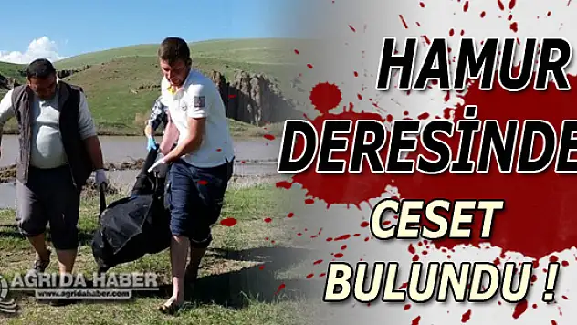 Ağrı'nın Hamur İlçesinde Dere Kenarında Ceset Bulundu