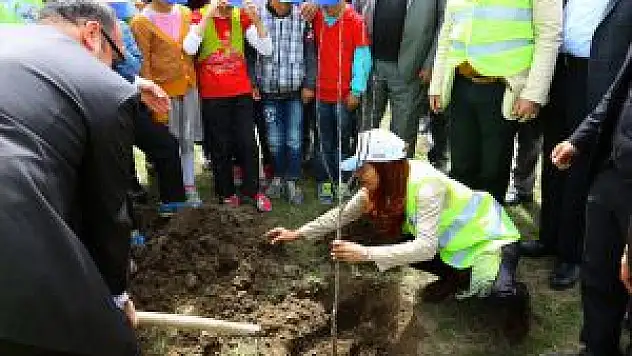 Van Büyükşehir Belediyesin'den Meyve Fidanı Dikimi