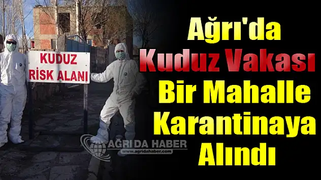 Ağrı'da Kuduz Vakası Korkuttu! Bir Mahalle Karantinaya Alındı