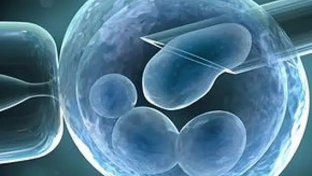 TÜP BEBEK YÖNTEMİ