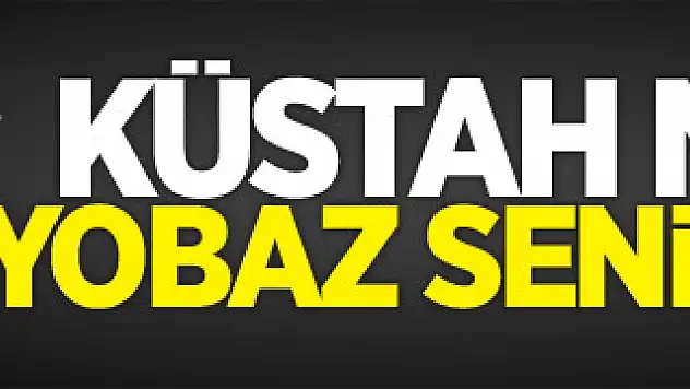 TBMM Başkanı İsmail Kahraman'a hakaret
