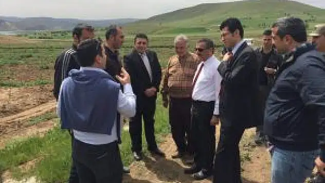 Vali Kaymak Destekleme Alan Ceviz Bahçesini İnceledi