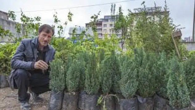 Ahlat'ta Fidan Satışlarına Başlandı