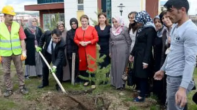 Sarıkamış'ta Fidan Dikimi