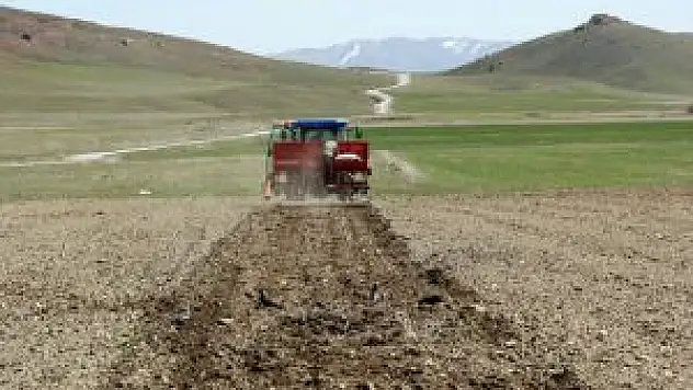 Van Büyükşehir Belediyesi Nohut Ekimine Başladı