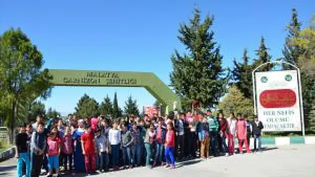 Malatya'da Öğrenciler Şehitliği Ziyaret Etti