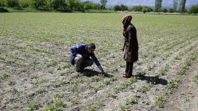 Erzincan'daki Dolu Yağışı