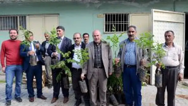 Hizan'da 5 Bin 100 Ceviz Fidan Dağıtıldı