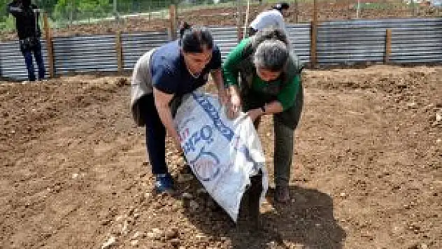 Tunceli Belediyesi Yerli Tohum Üretecek