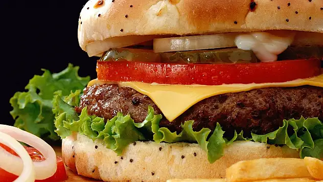 Hamburgerde insan ve fare DNA'sı bulundu