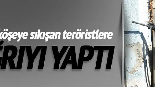 Teröristlere 'ölümü değil yaşamayı seçin' çağrısı