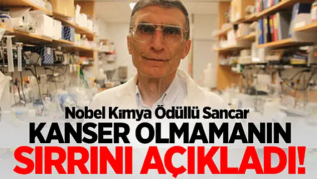 kanseri yenmenin en etkin yöntemi