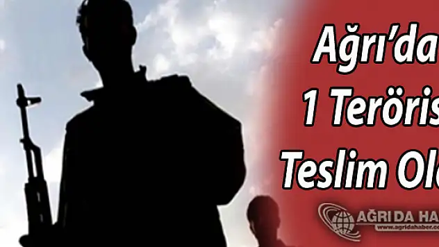 Ağrı'da Bir Terörist Teslim Oldu