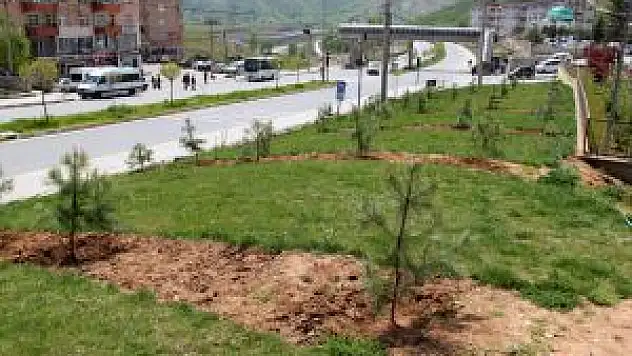 Bitlis'te Belediyeden Peyzaj Çalışması