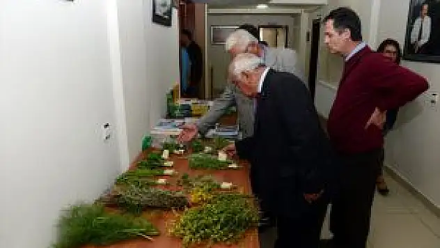 'Dersim'in Şifa Geleneği Sempozyumu' Başladı