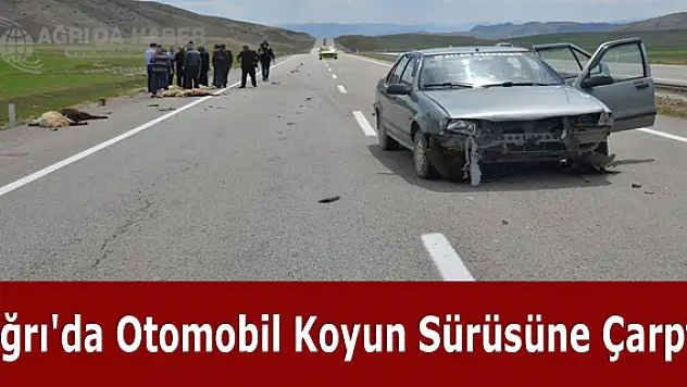 Ağrı'da Otomobil Koyun Sürüsüne Çarptı