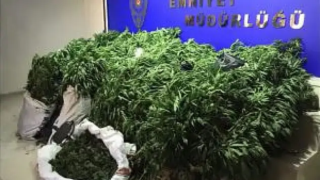 Jandarma Ve Polisten Ortak Uyuşturucu Operasyonu