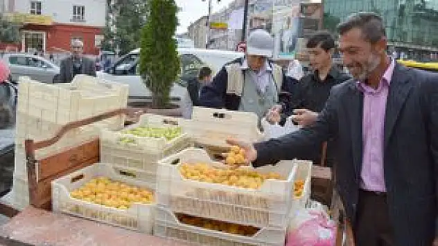 Kayısı Mevsiminden Erken Geldi