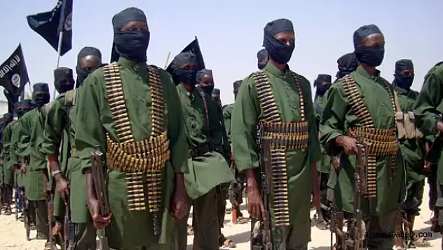 Somali Hükümetine gönderdiler, Şebab'ın eline geçti