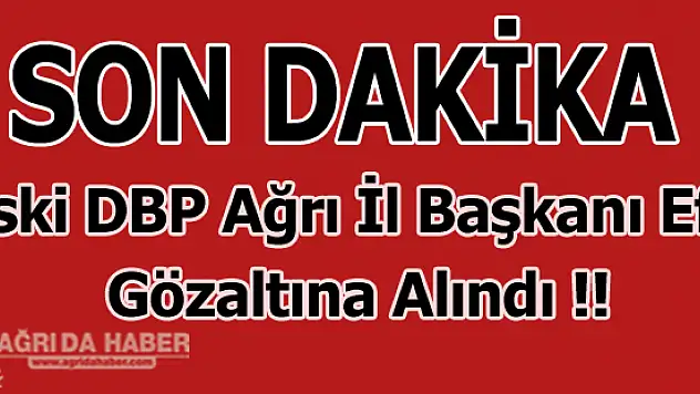 Eski DBP Ağrı İl Başkanı Necmettin Efe Gözaltına Alındı
