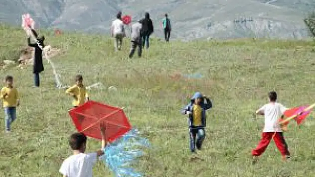 Pazaryolu'nda Uçurtma Şenliği