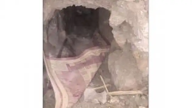 Şırnak'ta Hain Tuzaklar