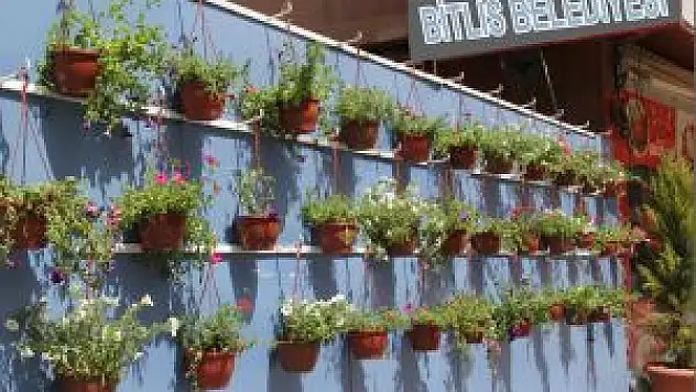 Bitlis'te Peyzaj Çalışmaları