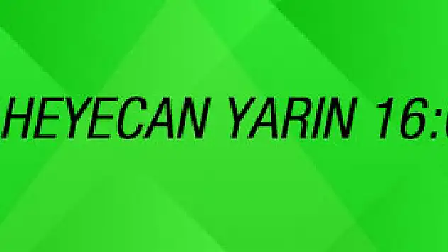 Gözler Bu Maçta! Türkiye-Hırvatistan Maçı Yarın Paris'te