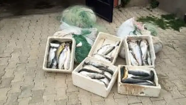Elazığ'da 200 Kilogram Kaçak Balık Ele Geçirildi