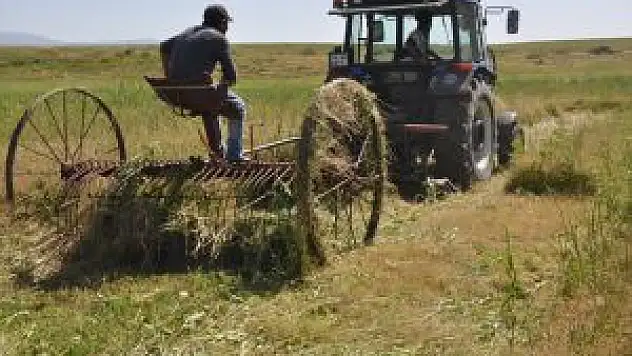 Muş'ta Ot Hasadı Erken Başladı