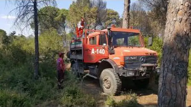 Ormanlık Alandaki Yangın Büyümeden Söndürüldü