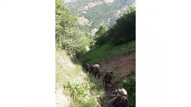 Pkk'nın 15 Sığınağı İmha Edildi