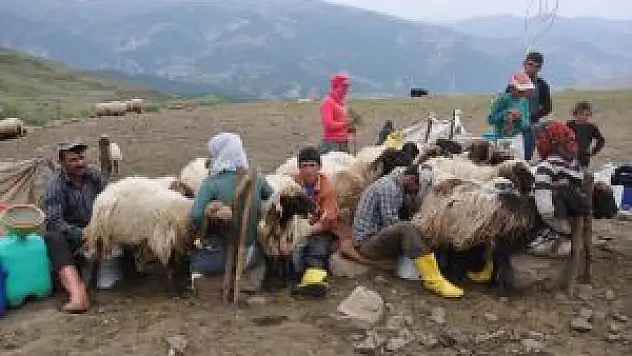 Doğu Anadolu Bölgesi'nde Göçerlerin Zorlu Yayla Yolculuğu