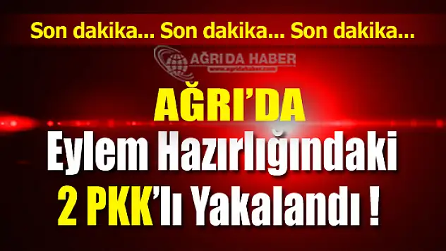 Ağrı 100.Yıl Mahallesin Eylem Hazırlığında 2 PKK'lı Yakalandı