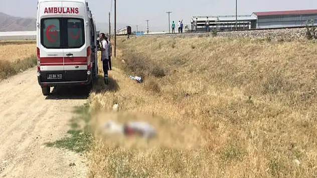 Elazığ'da trenle minibüs çarpıştı