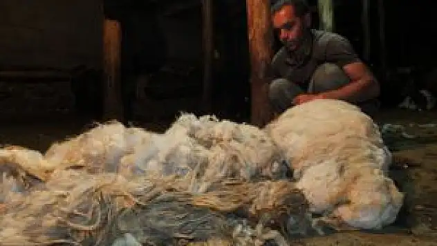 Koyunları İftar İle Sahur Arası Kırkıyorlar
