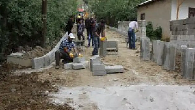 Başkale'de Kilitli Parke Taşı Çalışmaları