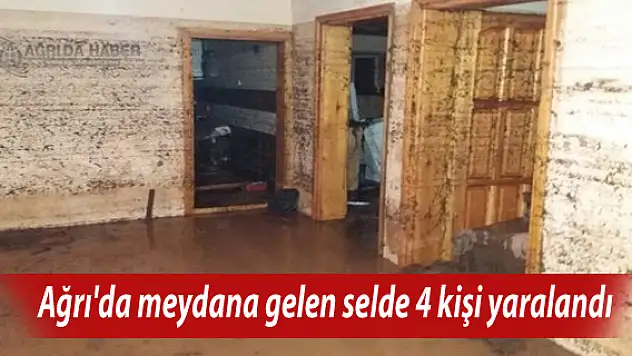 Ağrı'da meydana gelen selde 4 vatandaş yaralandı