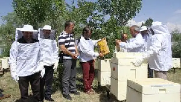 Öğretim Üyeleri Bal Üretecek