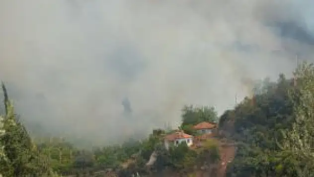 Kumluca'da Orman Yangını Sürüyor
