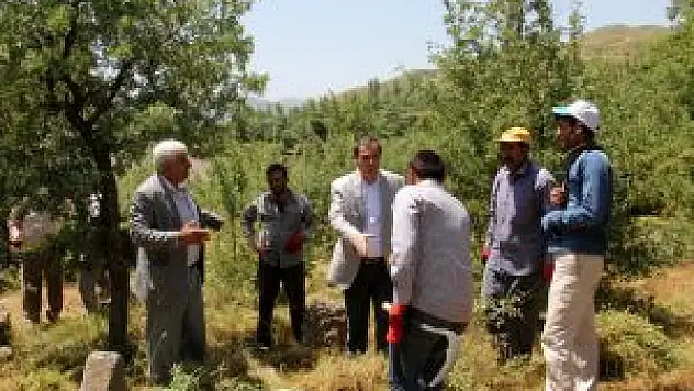 Bitlis'te Mezarlık Otları Temizleniyor