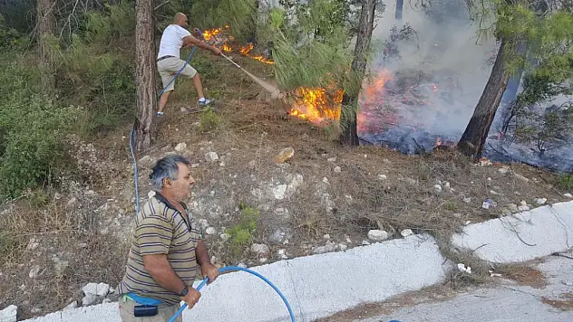 Antalya'da Kumlucadaki Orman Yangını Sürüyor
