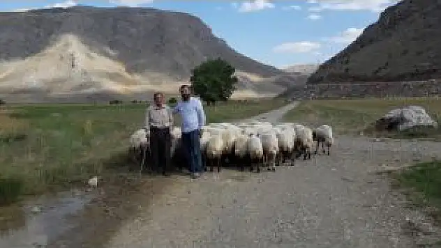 Birlik Başkanı Akın, Yetiştiricilerin Sorunlarını Dinledi