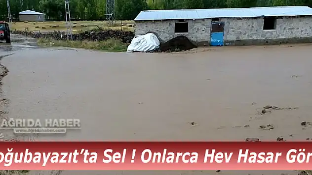Doğubayazıt'ta Sel ! Çok Sayıda Ev Hasar Gördü Onlarca Hayvan Telef oldu