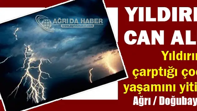 Ağrı'nın Doğubayazıt İlçesinde Yaylaya Düşen Yıldırım 1 Can Aldı