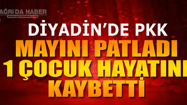 Ağrı'da Teröristlerin Yerleştirdiği Mayın Patladı: 14 Yaşında Bir çocuk Öldü