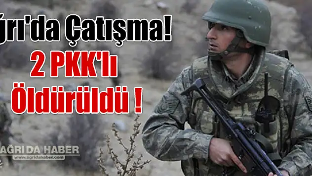 Ağrı'nın Sinek Yaylasında Çatışma! 2 PKK'lı Terörist Ölü Ele Geçirildi
