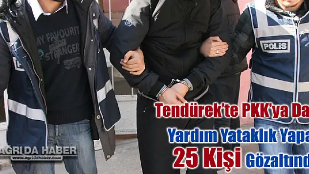 Tendürek Dağındaki PKK Mensuplarına Yardım Yataklık Yapan 25 Kişi Tutuklandı