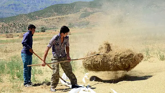 Bitlis'te Çiftçilerin Zorlu Patos Mesaisi Başladı